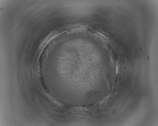 X0000078300339200611101139