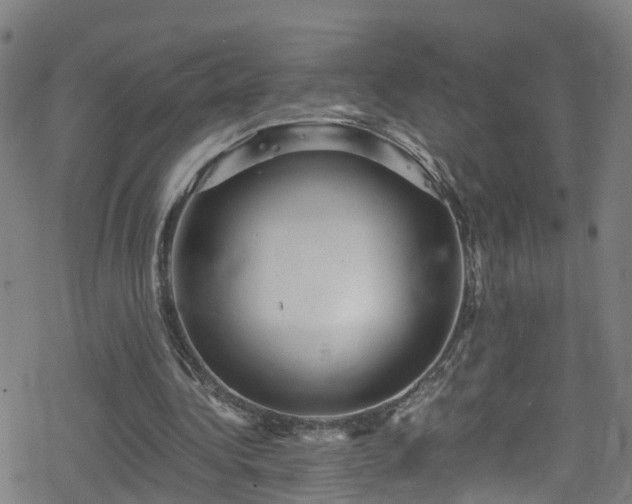 X0000078300340200611101139