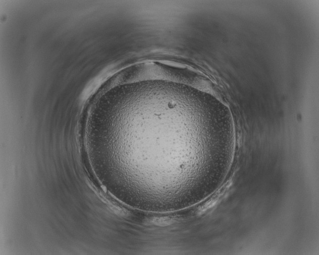 X0000078300341200611101139