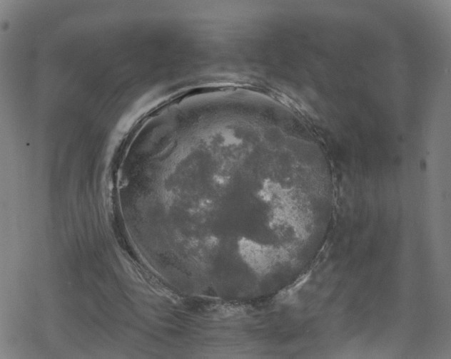 X0000078300343200611101139