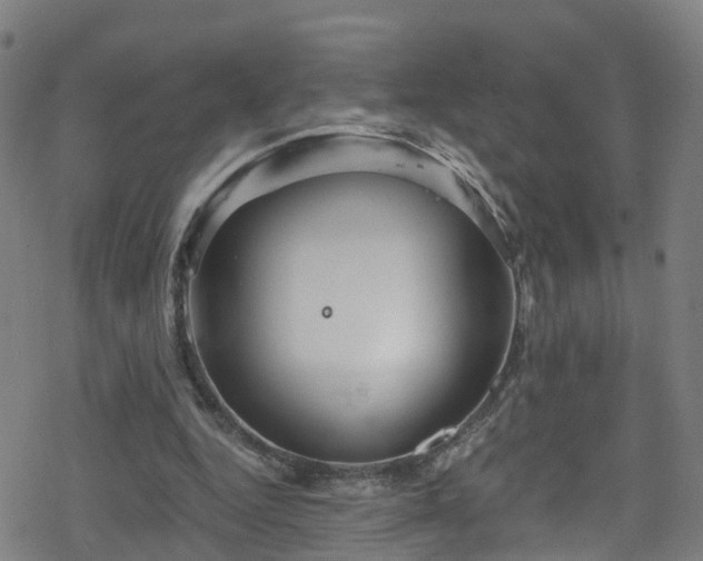 X0000078300344200611101139