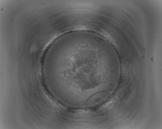 X0000078300347200611101139