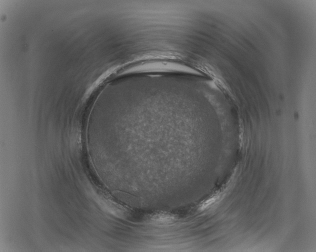 X0000078300348200611101139