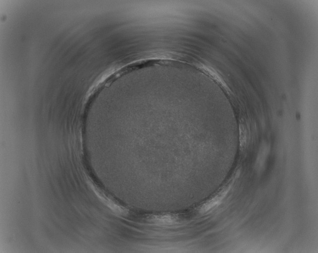 X0000078300349200611101139