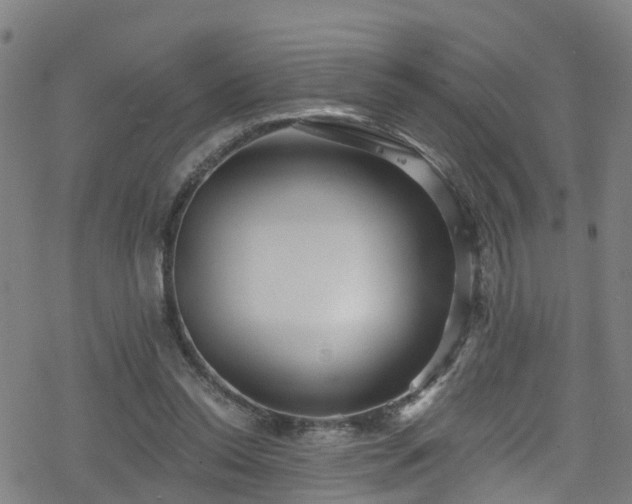 X0000078300350200611101139