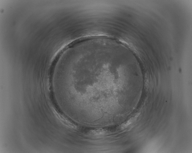 X0000078300351200611101139