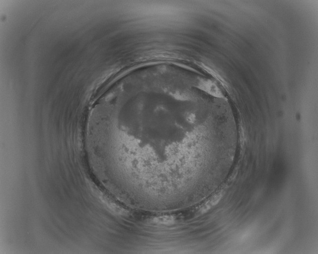 X0000078300353200611101139