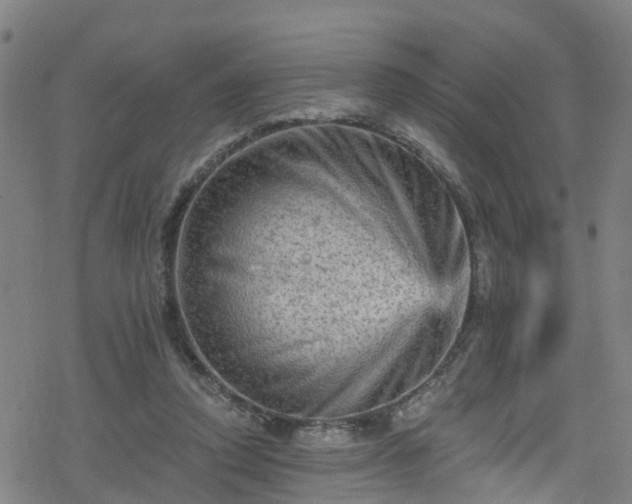 X0000078300354200611101139