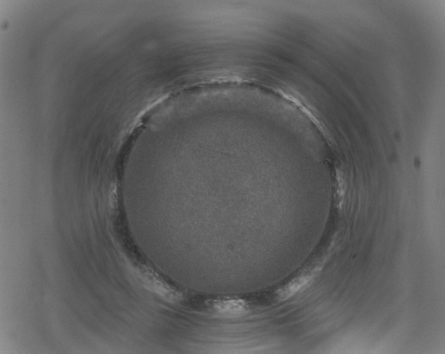 X0000078300355200611101139