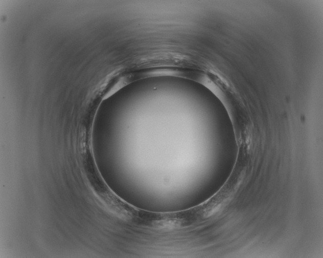 X0000078300356200611101139