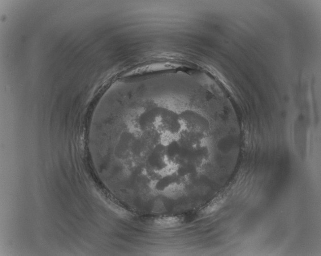 X0000078300357200611101139