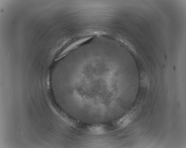 X0000078300358200611101139