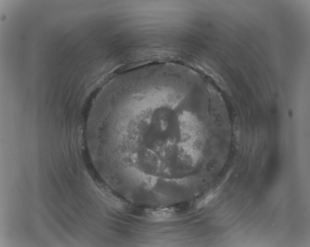 X0000078300359200611101139