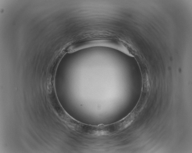 X0000078300360200611101139