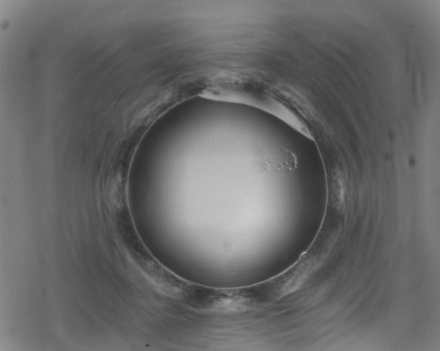 X0000078300364200611101139