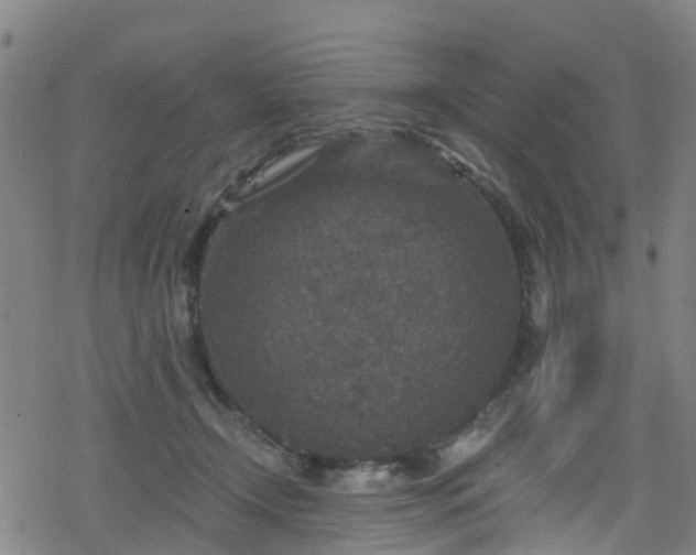 X0000078300366200611101139