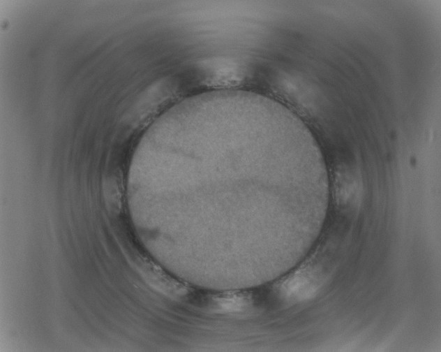 X0000078300370200611101139