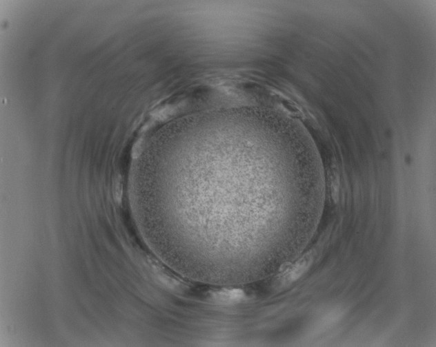 X0000078300374200611101139