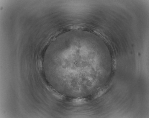 X0000078300375200611101140