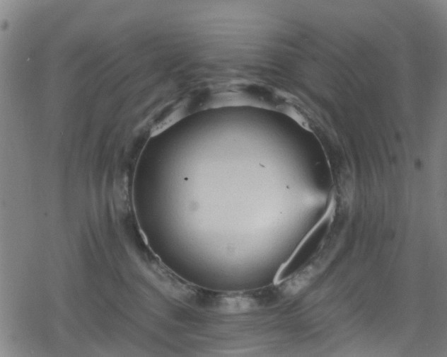 X0000078300376200611101140