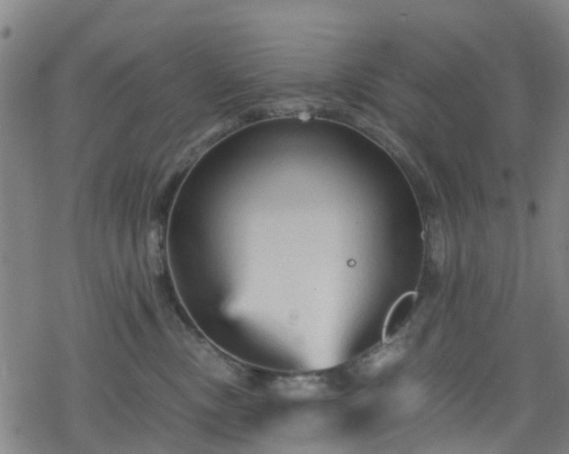 X0000078300378200611101140