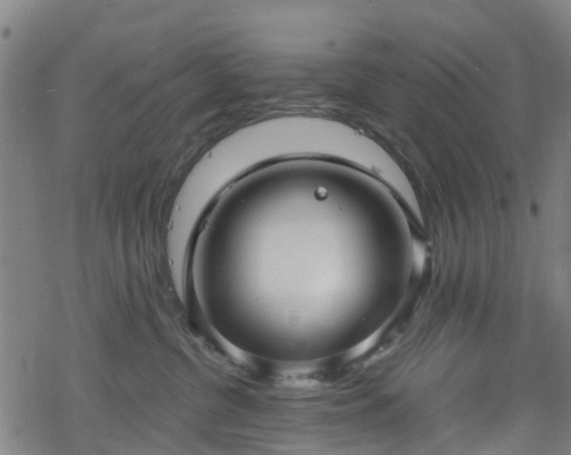 X0000078300380200611101140