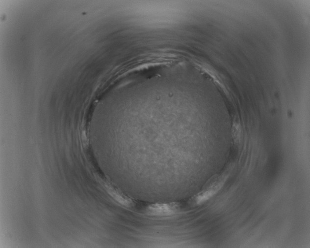 X0000078300381200611101140