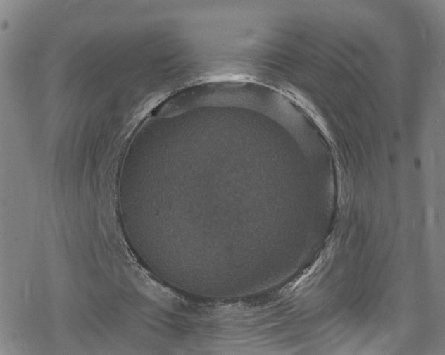 X0000078300385200611101139