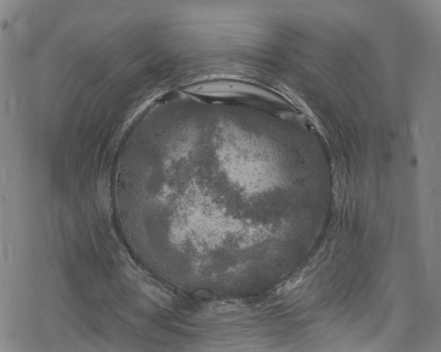 X0000078300386200611101139