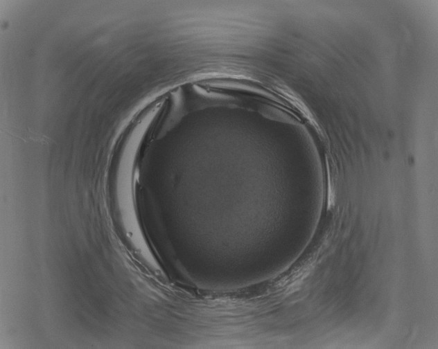 X0000078300387200611101139