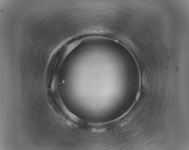 X0000078300388200611101139