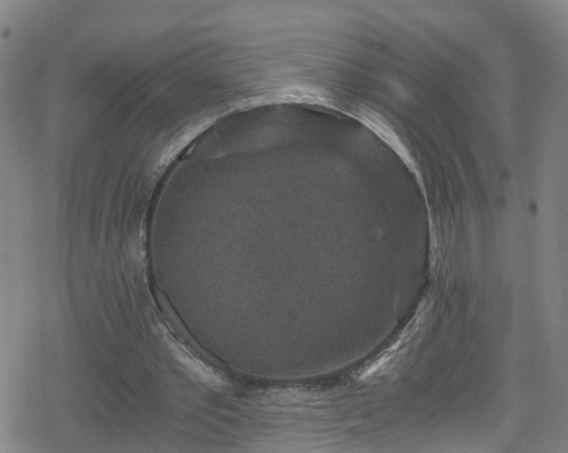 X0000078300389200611101139