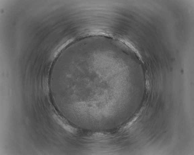 X0000078300390200611101139