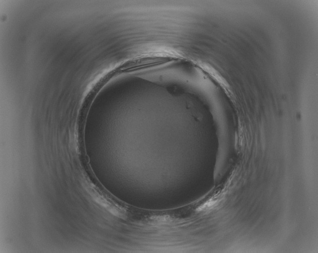 X0000078300391200611101139