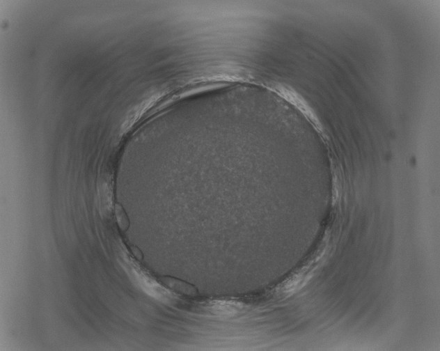 X0000078300393200611101139