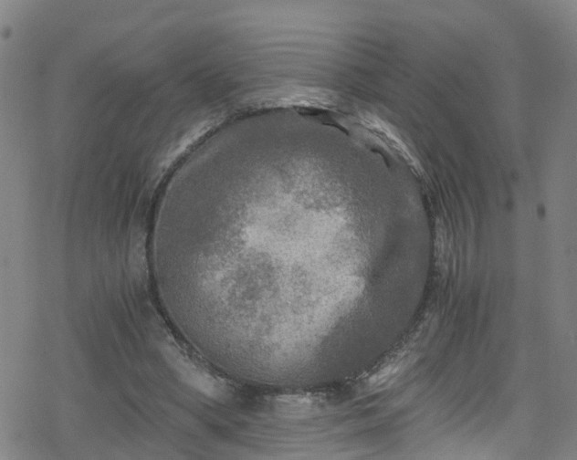 X0000078300394200611101139