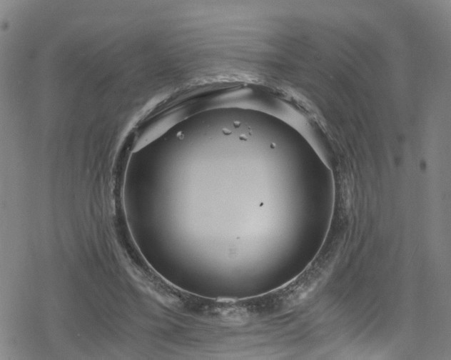 X0000078300395200611101139