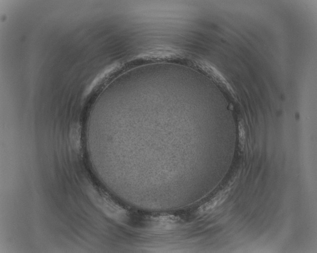 X0000078300396200611101139