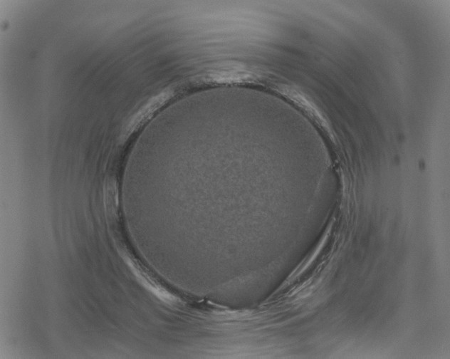 X0000078300397200611101139