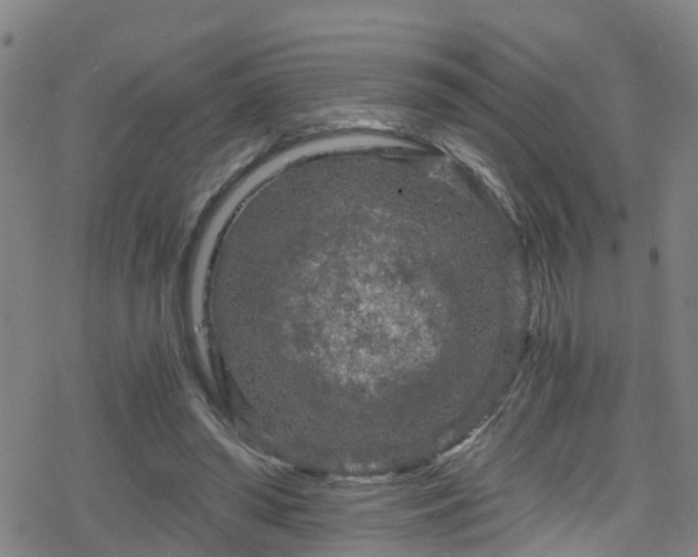 X0000078300398200611101139