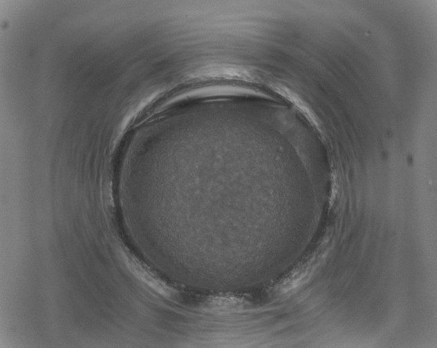 X0000078300399200611101139