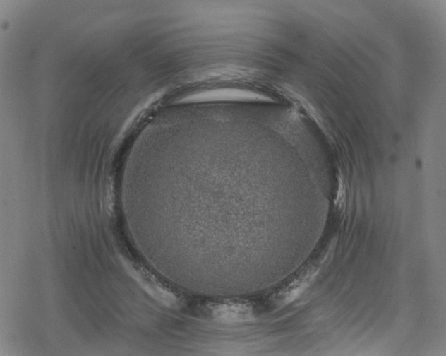 X0000078300400200611101139