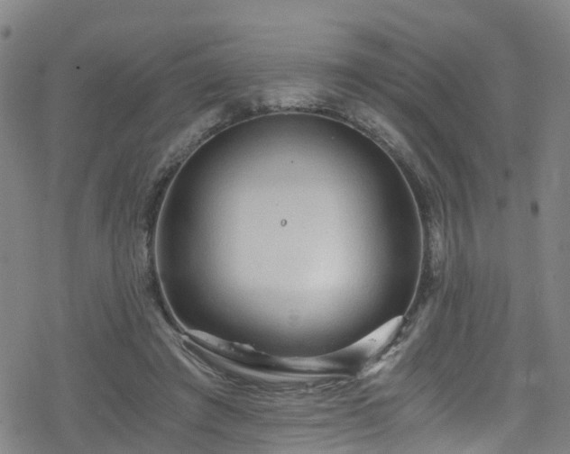 X0000078300401200611101139