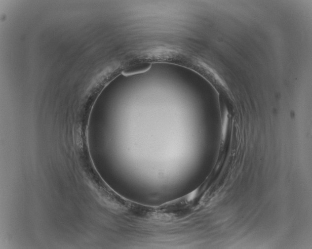 X0000078300403200611101139