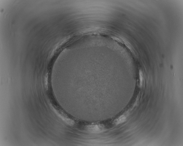 X0000078300404200611101139