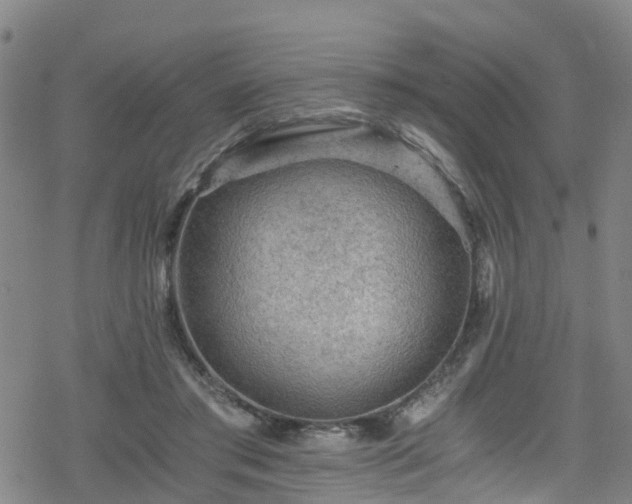 X0000078300405200611101139