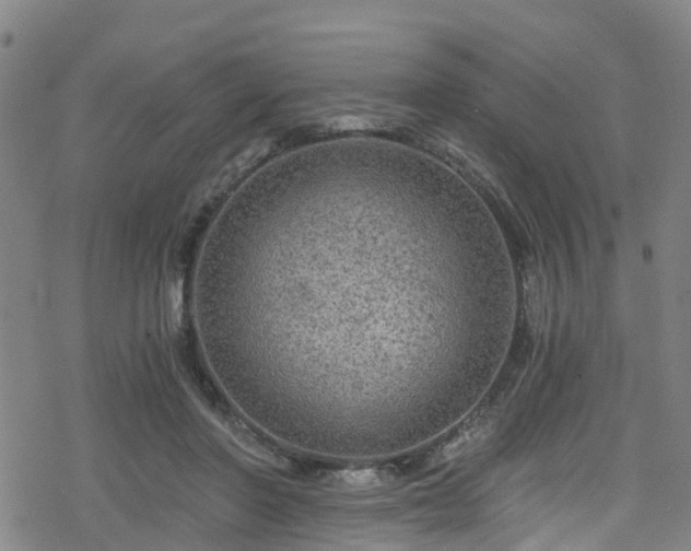 X0000078300406200611101139