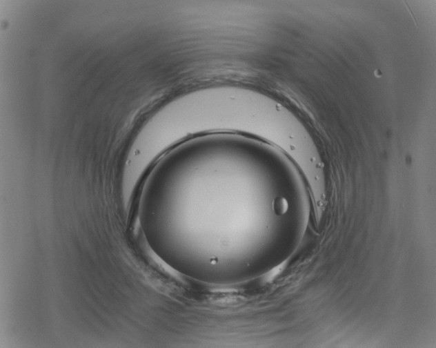 X0000078300407200611101139