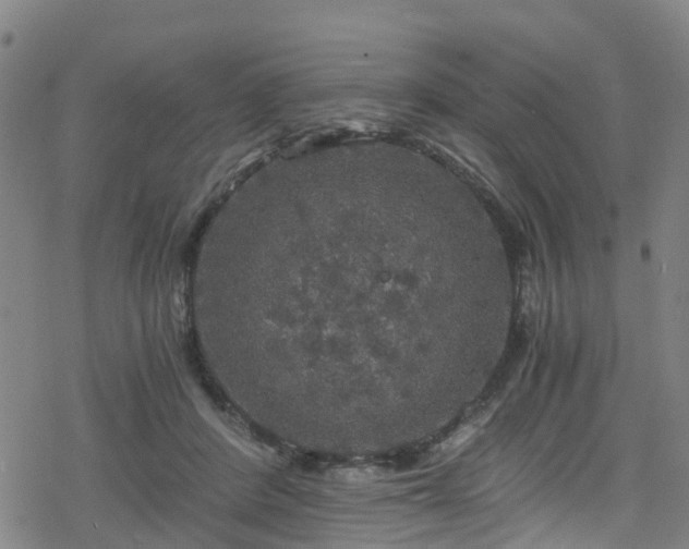 X0000078300408200611101138