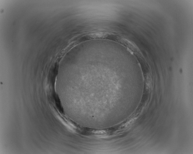 X0000078300409200611101138